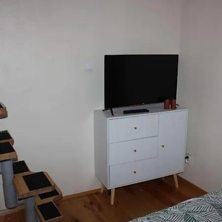 Petit Cocon Dans Le Centre De *