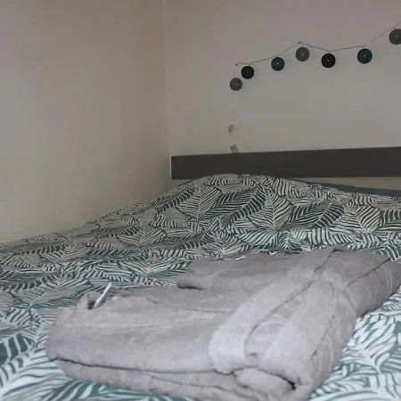 Petit Cocon Dans Le Centre De Apartment Clermont-Ferrand